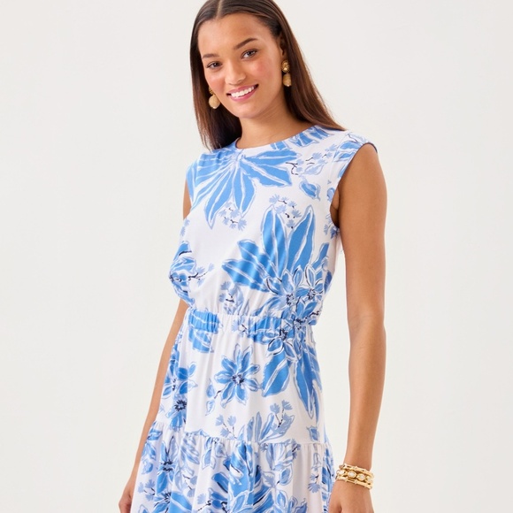 NWOT LILLY PULITZER Danville Dress - Picture 1 of 3